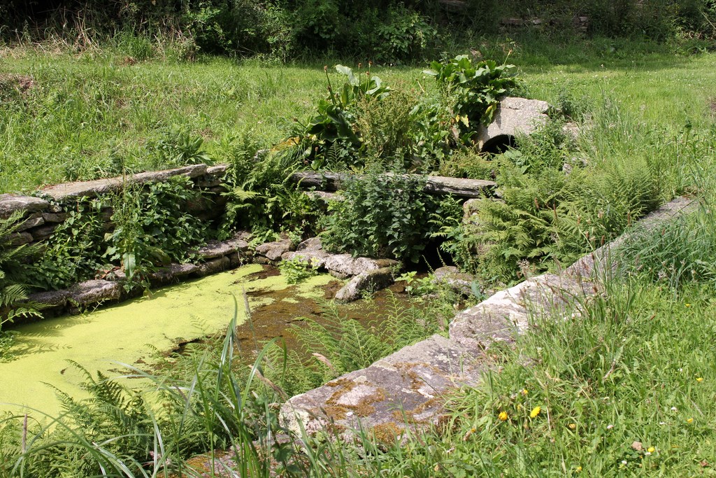 Plozévet