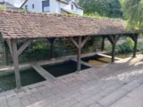 Bischwiller