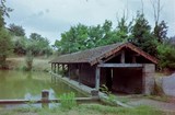 Garganvillar