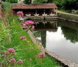 Varaire