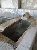 Furiani