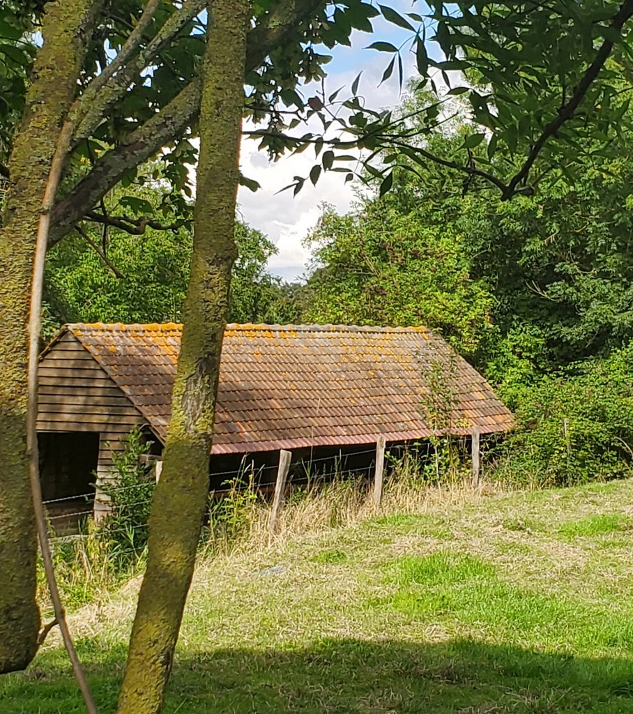 Saint-Rémy-en-l'Eau